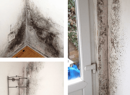 example-mould Example of mould