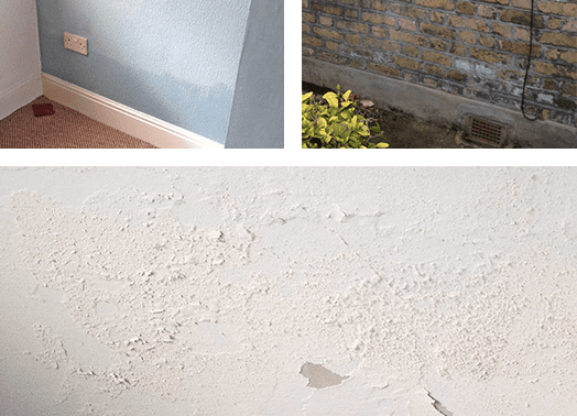 example-rising-damp Example of rising damp
