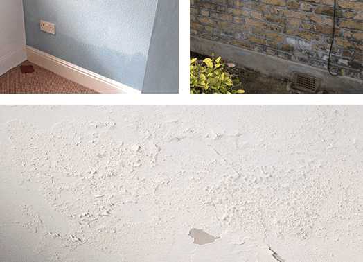 Example of rising damp