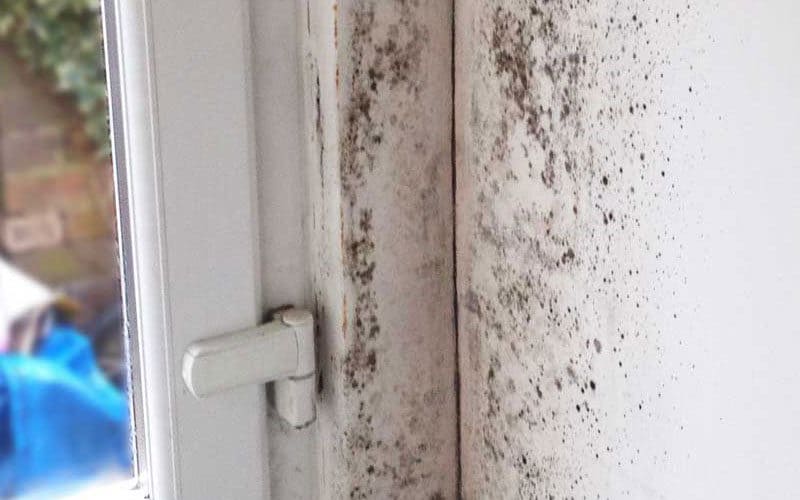 Damp on your walls Damp on your walls