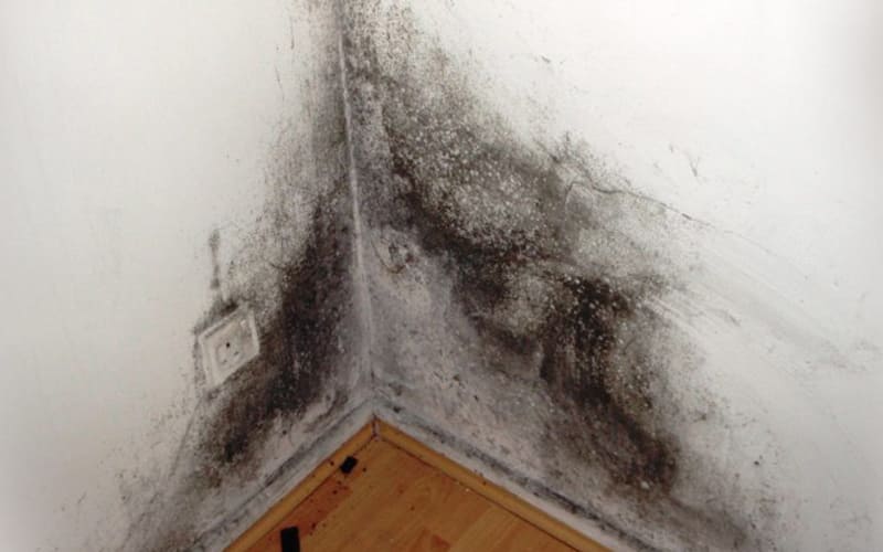 Damp problem in your house