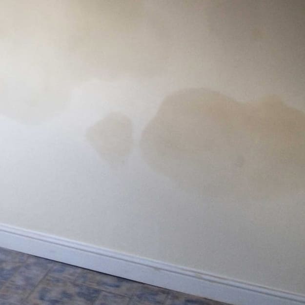 Penetrating damp in your house?