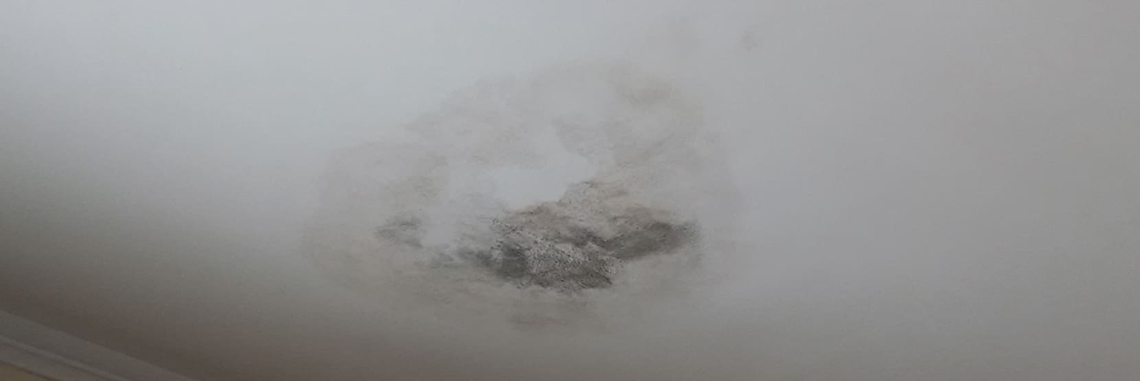 How can you identify damp in the house?