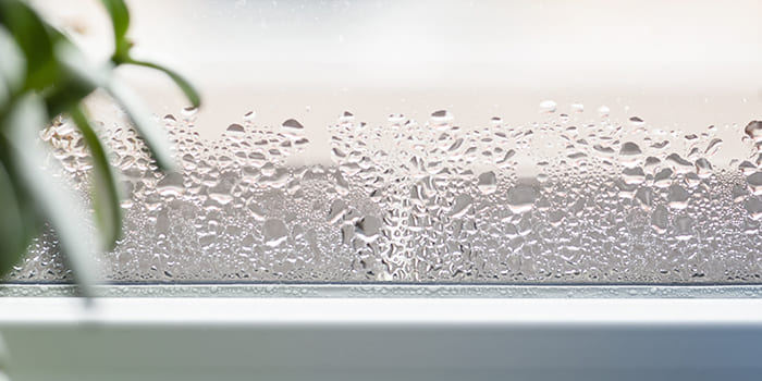 Blog - What are ideal humidity levels to maintain in the house?