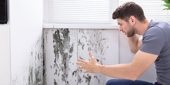 Blog - What are the consequences of damp in the house?