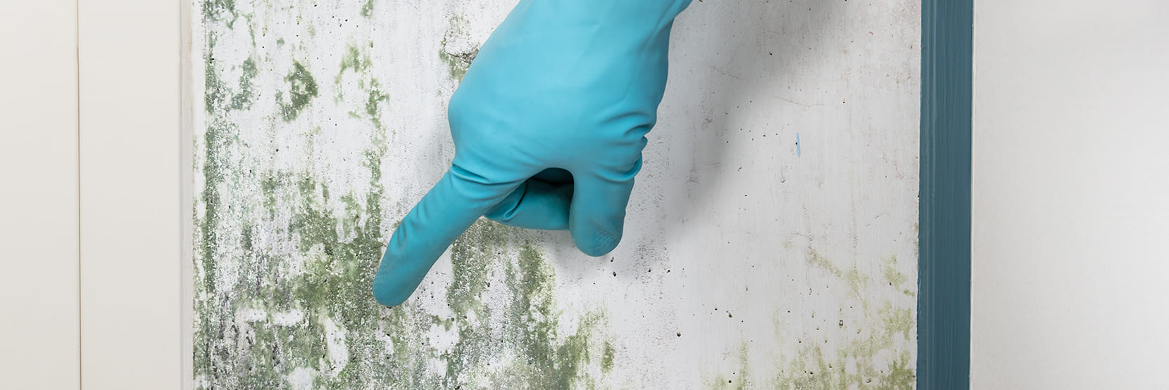 How can you combat mould on the wall?