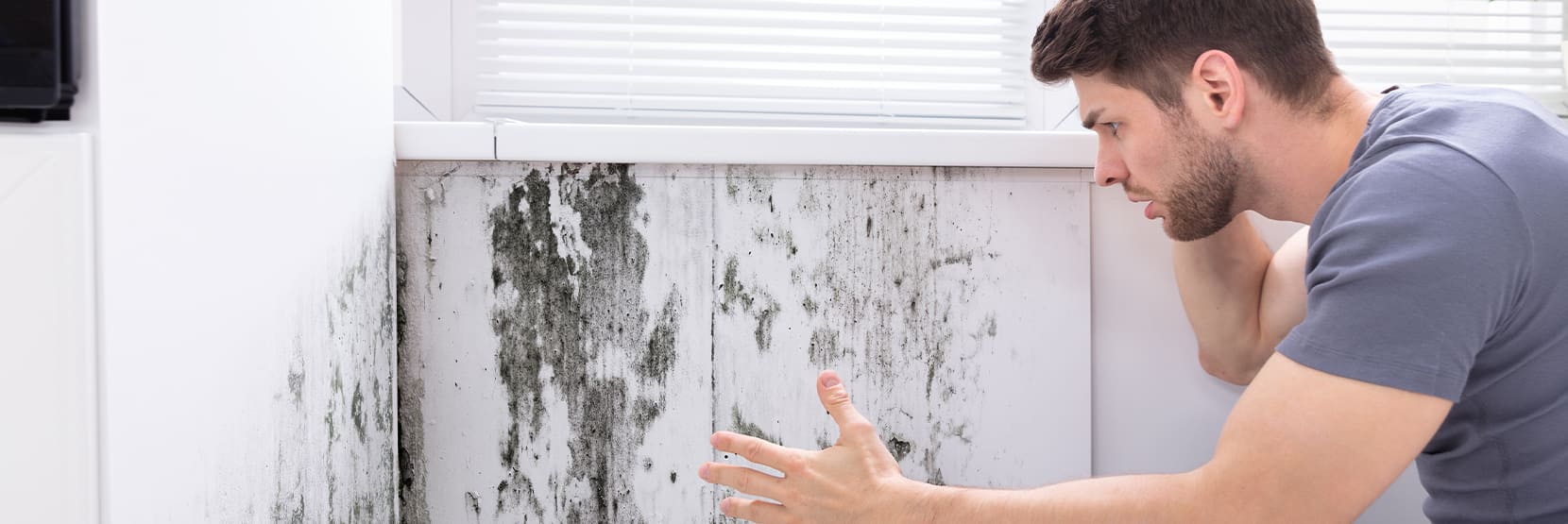 What are the consequences of damp in the house